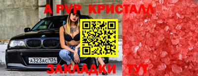 амф Кулебаки